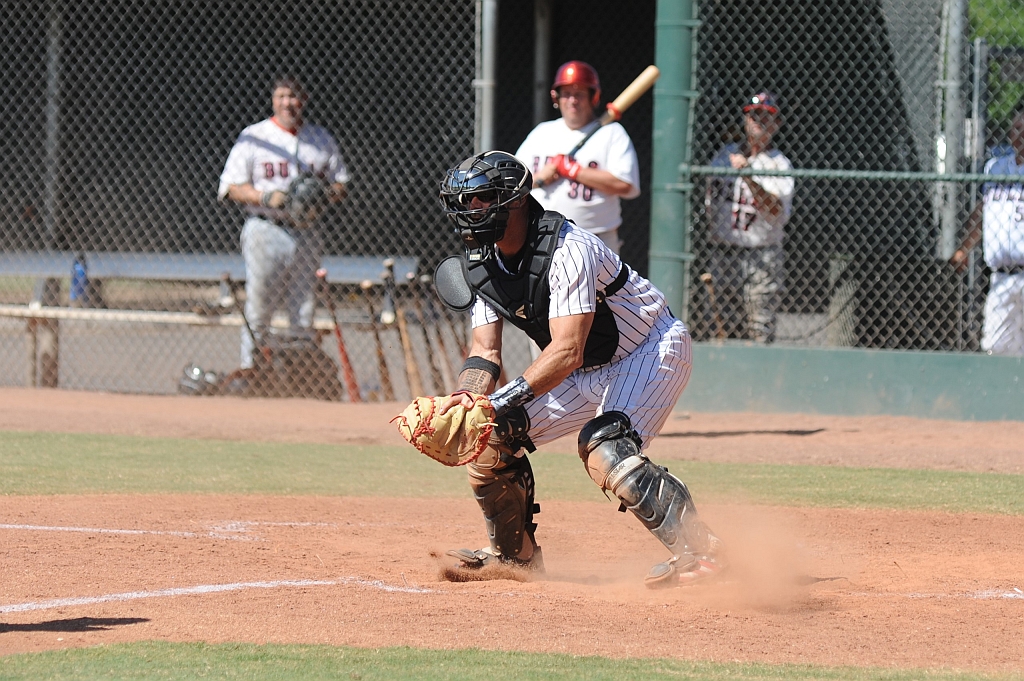 Seals_2019-10-09 (319).JPG - (c)2010 DeVetter